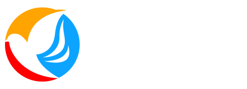 赛金网络